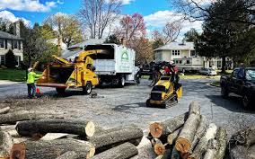Best Lawn Maintenance Plans  in Tappahannock, VA