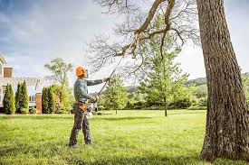 Best Landscape Design and Installation  in Tappahannock, VA