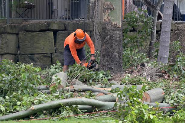 Best Arborist Consultation Services  in Tappahannock, VA