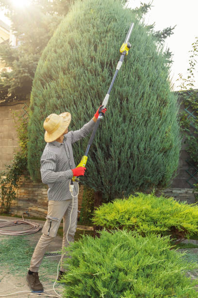 Best Lawn Mowing  in Tappahannock, VA