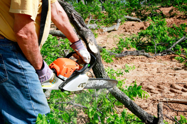 Best Tree Preservation Services  in Tappahannock, VA